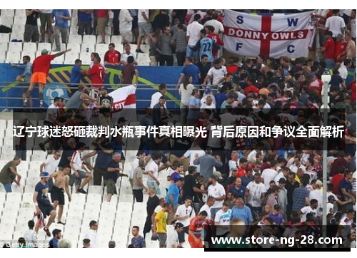 辽宁球迷怒砸裁判水瓶事件真相曝光 背后原因和争议全面解析